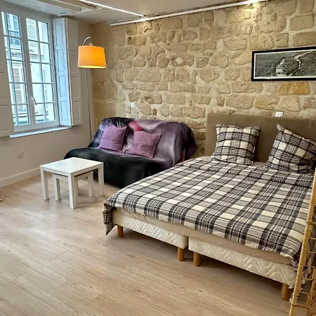Loft Saint Andre Apartment