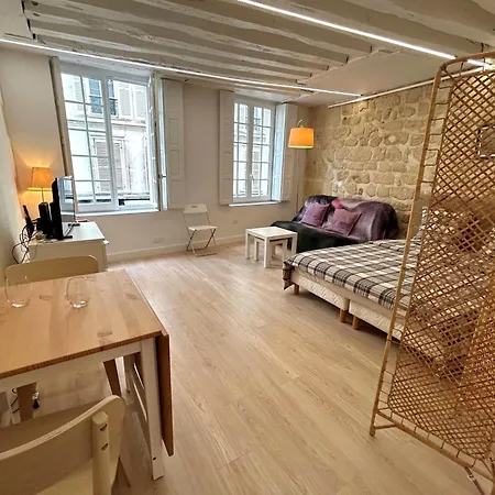 Loft Saint Andre Apartment *